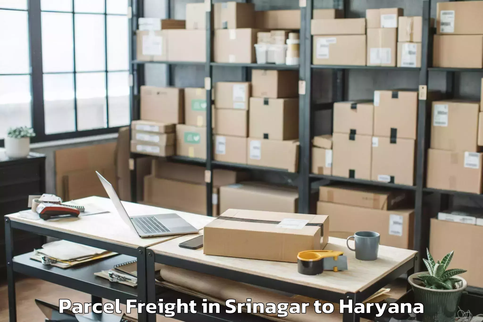 Expert Srinagar to Cyber City Gurgaon Parcel Freight